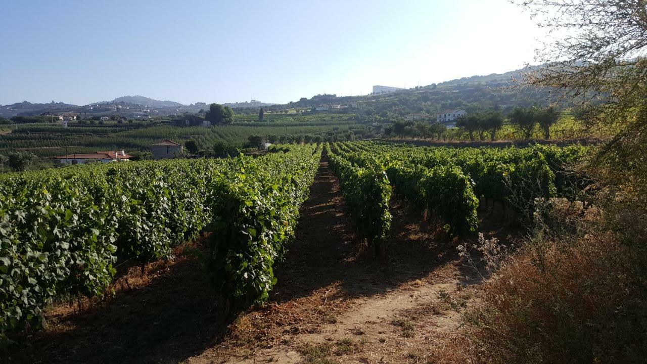 Quinta Do Acipreste Lamego Exterior foto